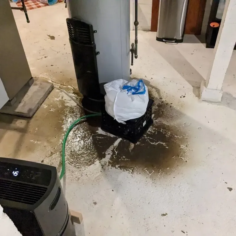 Sewage Backup Cleanup Service in Fort Valley, GA